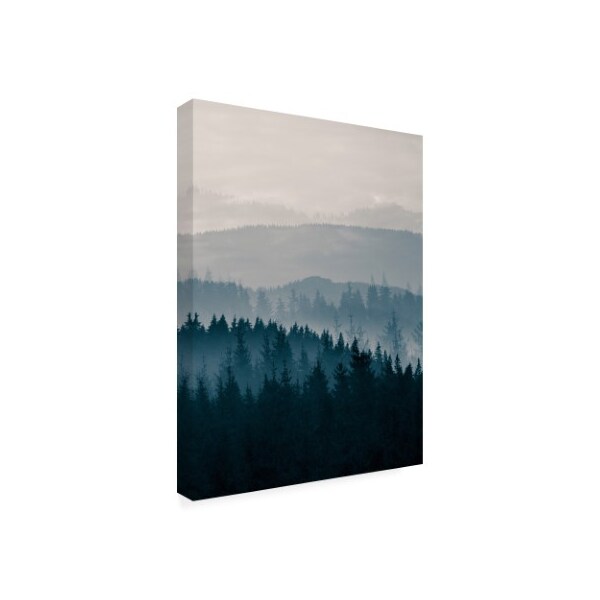 PhotoINC Studio 'Blue Mountains II' Canvas Art,14x19